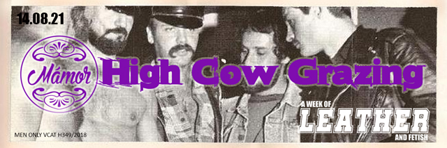 awol high cow grazing mamor
